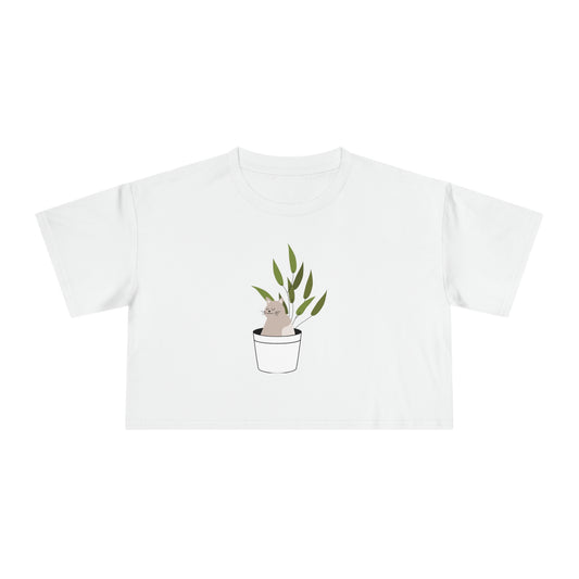 Women's Crop Tee